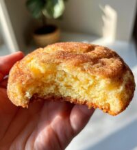giant snickerdoodle cookie
