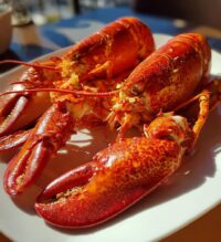 lobster close up