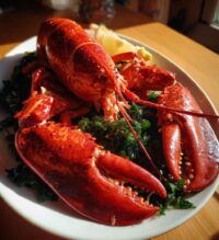 lobster underwater