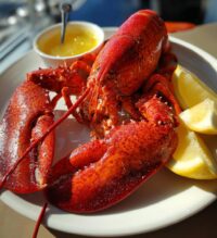 new england lobster