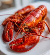 steamed lobster how to cook